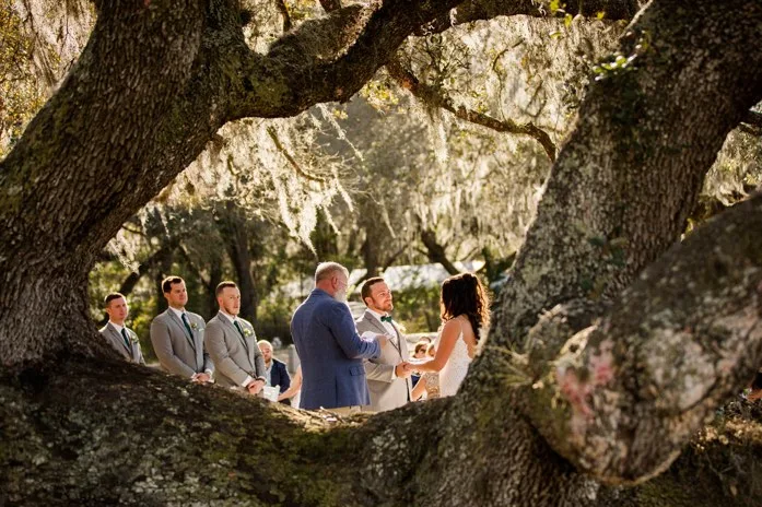 Lauryn Tanner Wedding